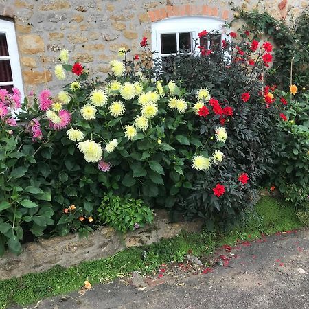 The Cottage Abbotsbury Kültér fotó