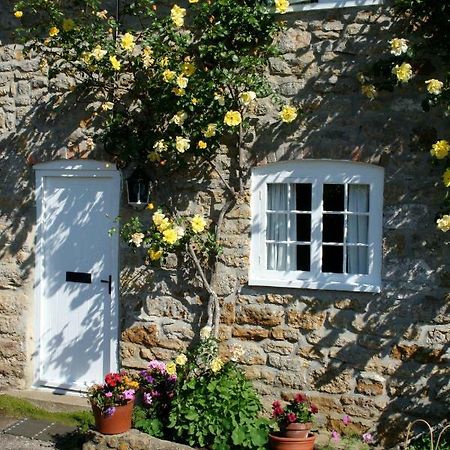 The Cottage Abbotsbury Kültér fotó
