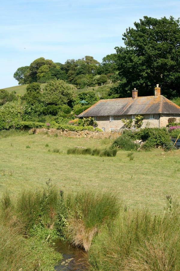 The Cottage Abbotsbury Kültér fotó