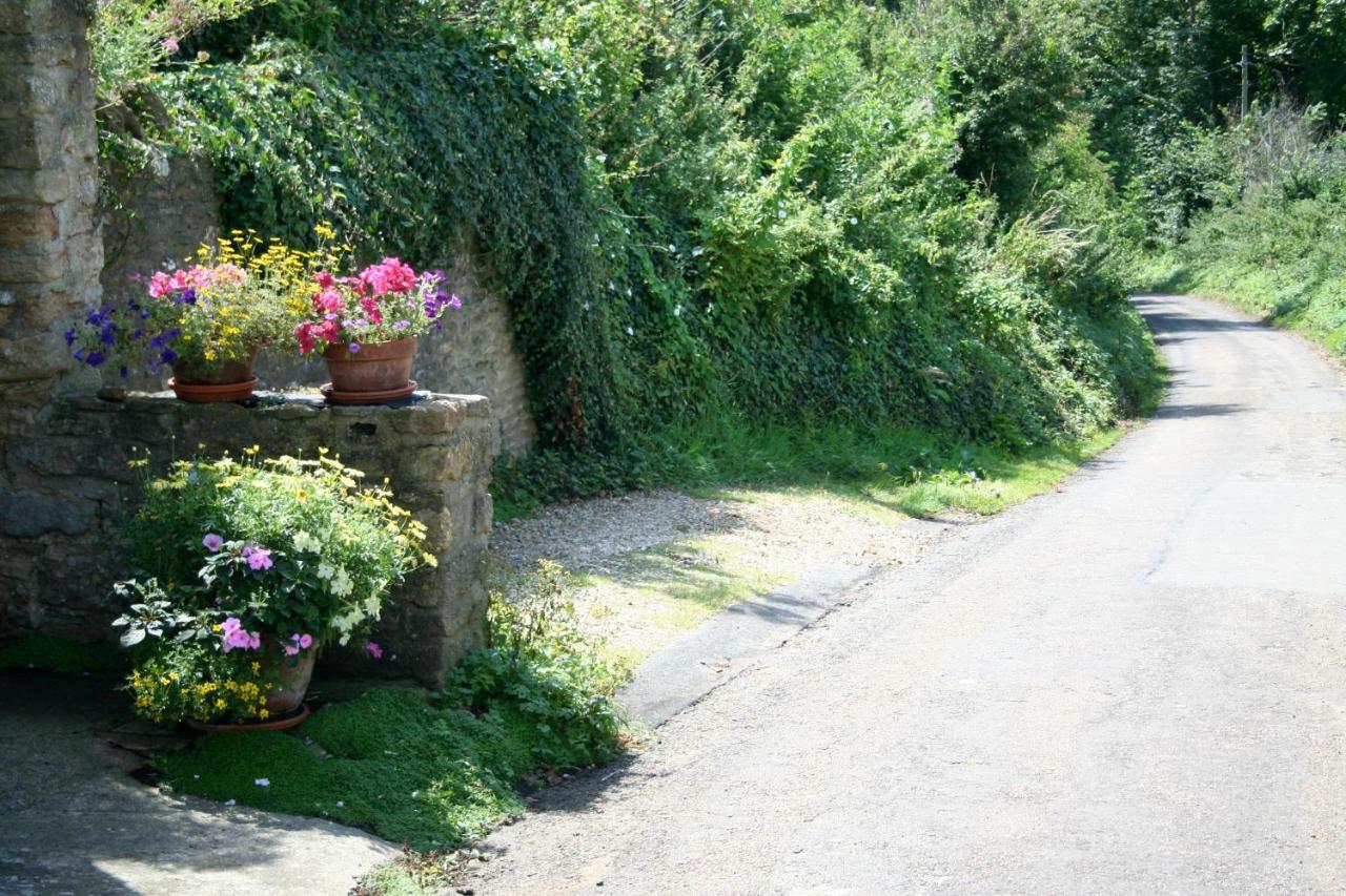 The Cottage Abbotsbury Kültér fotó