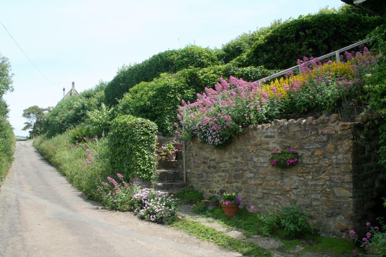 The Cottage Abbotsbury Kültér fotó